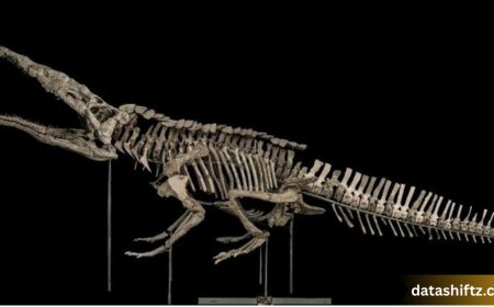 Phytosaur: The Crocodile-Like Predator of the Late Triassic