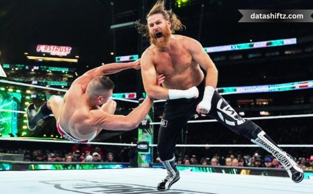 Sami Zayn: The Journey of an Underdog and His Rise to Prominence in WWE