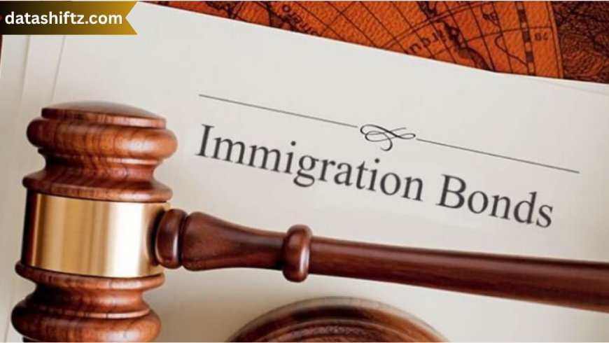 Visa Bonds Immigration: Understanding the Role, Process, and Impact