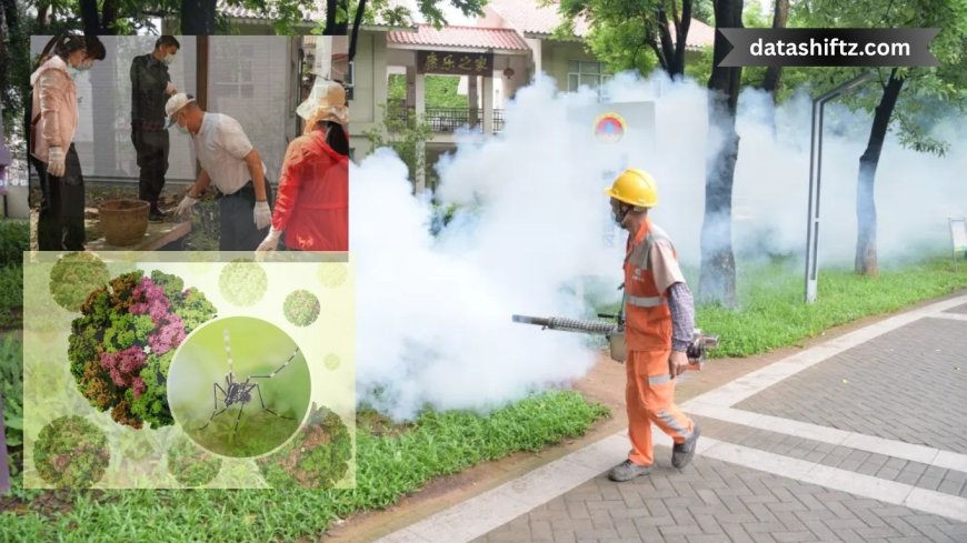 Chikungunya Virus Outbreak in China: A Growing Public Health Concern