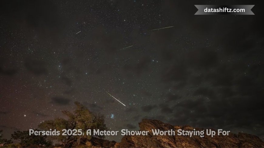 Perseids 2025: A Meteor Shower Worth Staying Up For