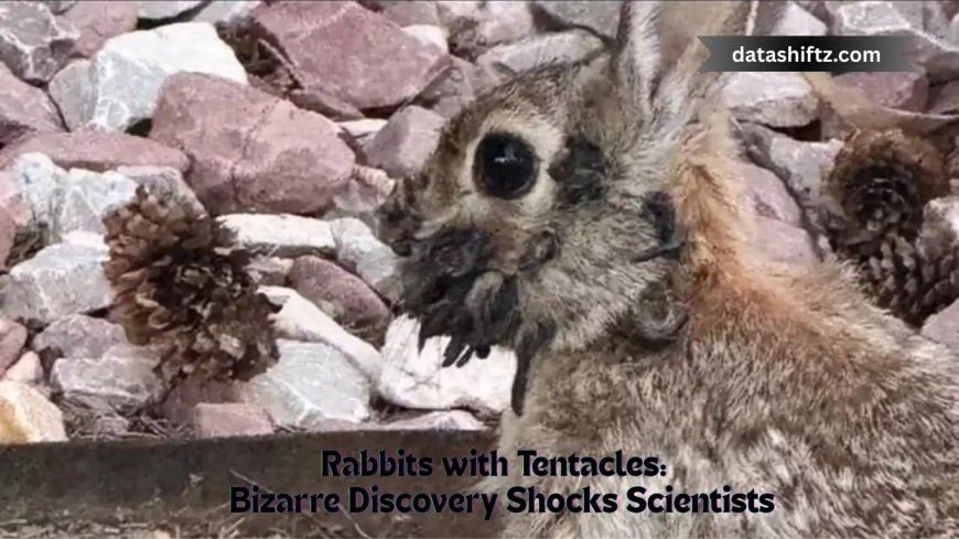 Rabbits with Tentacles:  Bizarre Discovery Shocks Scientists
