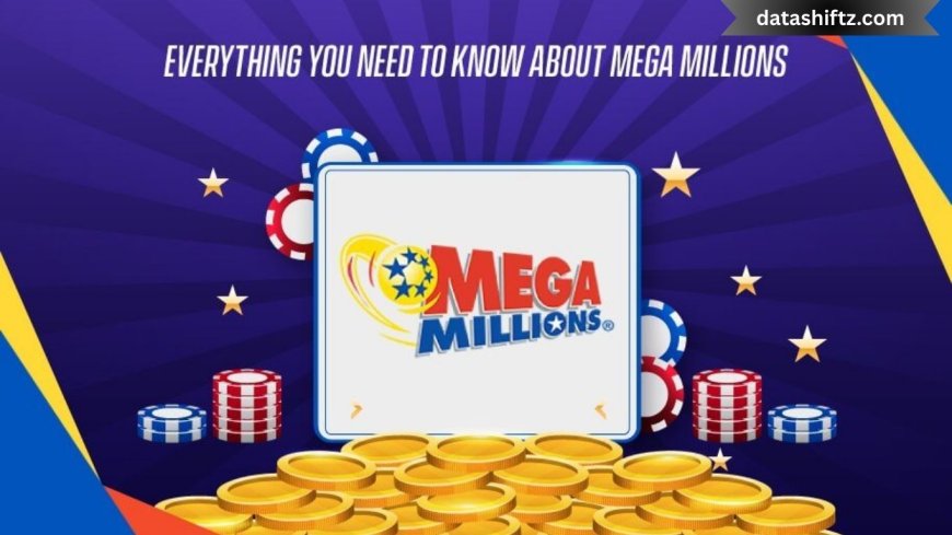 Mega Millions Numbers: What You Need to Know