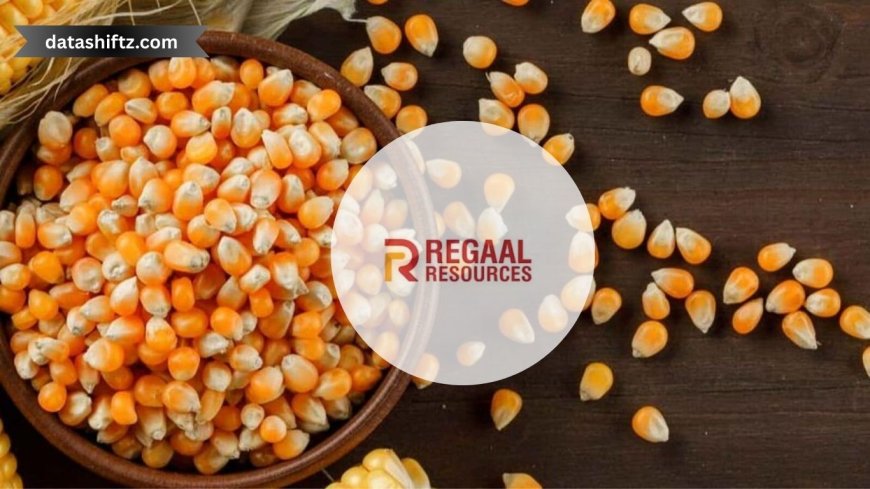 Regaal Resources IPO Launches: Everything You Need to Know