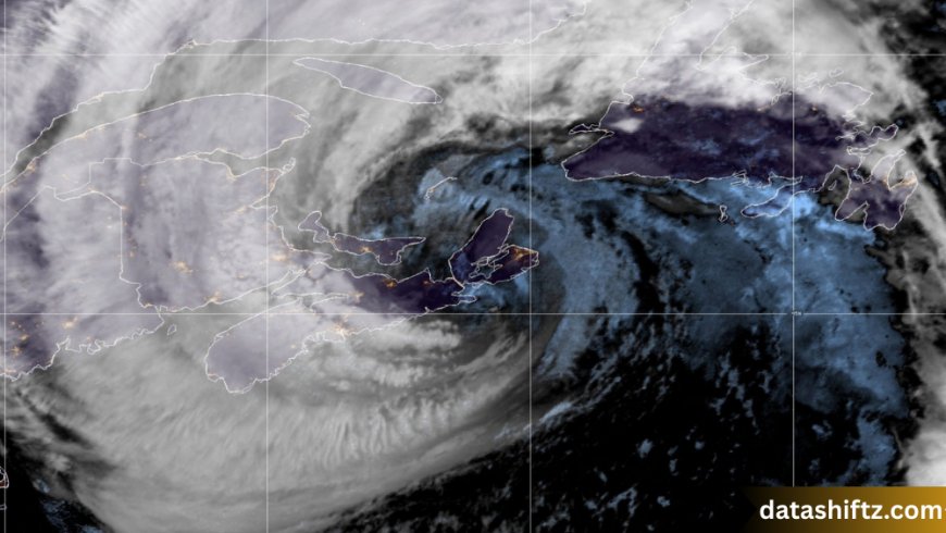 National Hurricane Center: The Guardian of Storm Safety