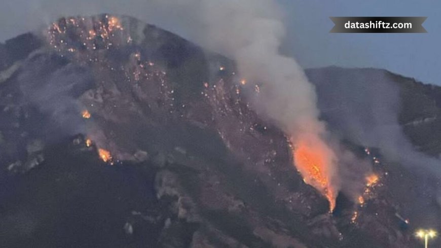 Provo Fire Today: A Comprehensive Update on the Buckley Draw Wildfire
