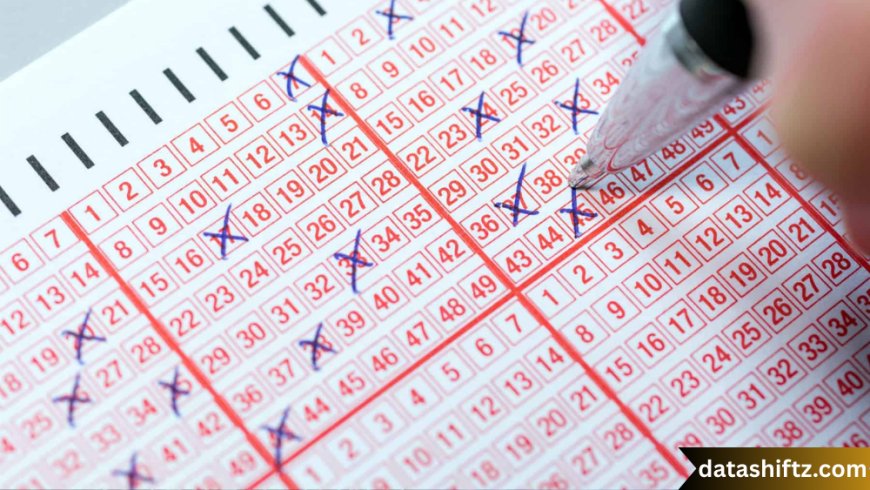 SS 481 Lottery Result: Complete Guide to Check and Understand