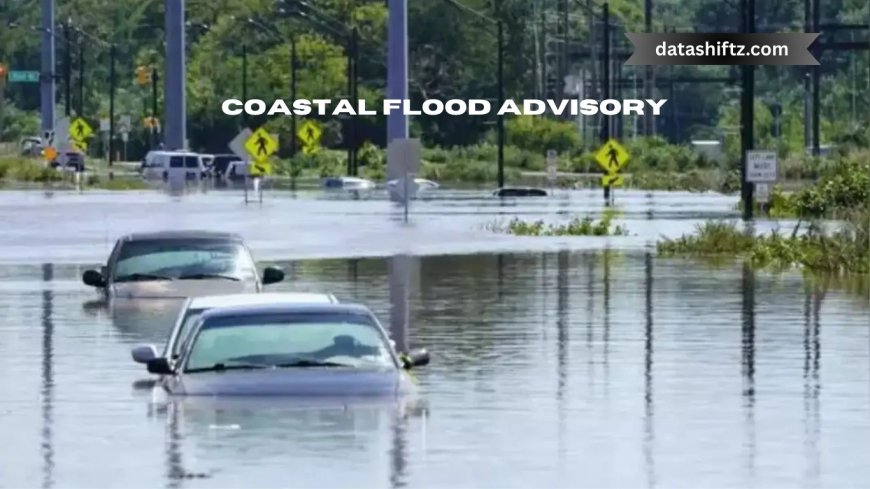 Today's Coastal Flood Advisory: What You Need to Know Now