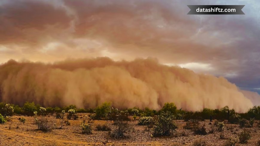 Massive Haboob Strikes Phoenix: What You Need to Know