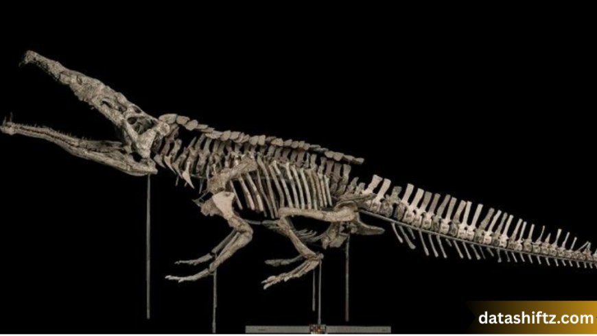 Phytosaur: The Crocodile-Like Predator of the Late Triassic