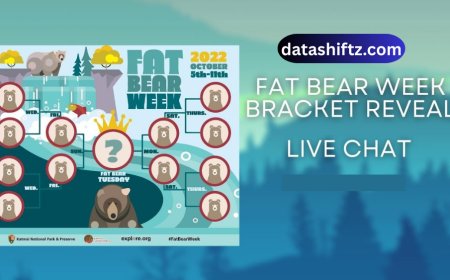 Fat Bear Week 2025: Celebrating Nature’s Chubby Champions