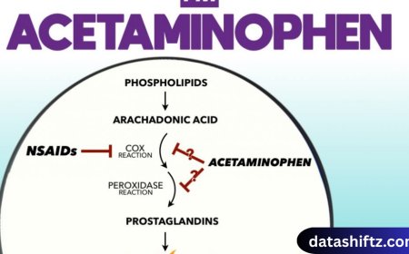 Acetaminophen: Uses, Benefits, Risks, and Safe Practices