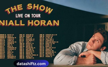 Niall Horan: From One Direction Star to Solo Sensation