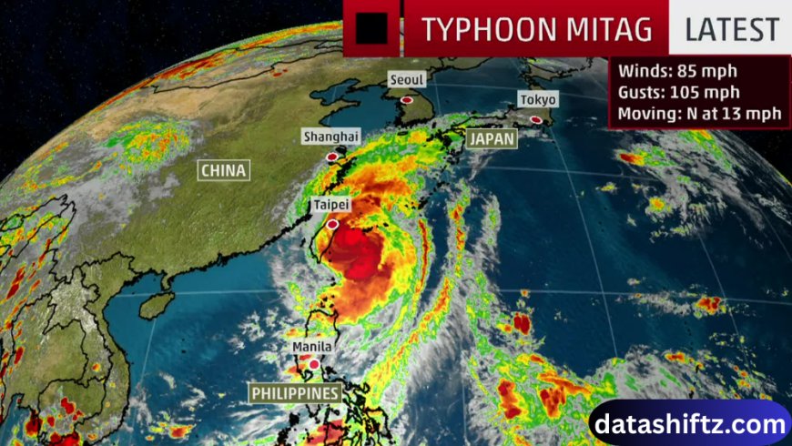 Typhoon: Understanding Nature’s Fierce Storms