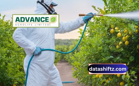 Advance Agrolife IPO: GMP, Subscription Status & Investment Insights