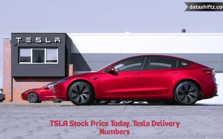TSLA Stock Price Today, Tesla Delivery Numbers