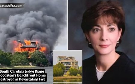 South Carolina Judge Diane Goodstein's Beachfront Home Destroyed in Devastating Fire