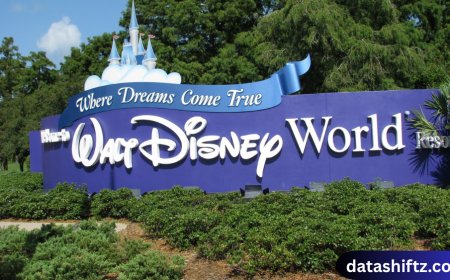 Disney World: The Ultimate Guide to the Magic Kingdom Experience