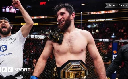 Magomed Ankalaev: Rising Star in the World of MMA